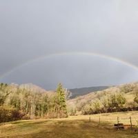 Illustration du profil de Deborah Henchoz