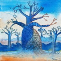 baobab bleu amoureux 